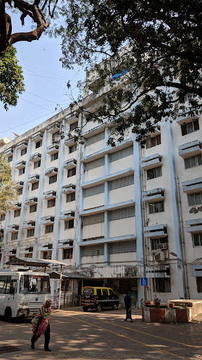 Cama And Albless Hospital