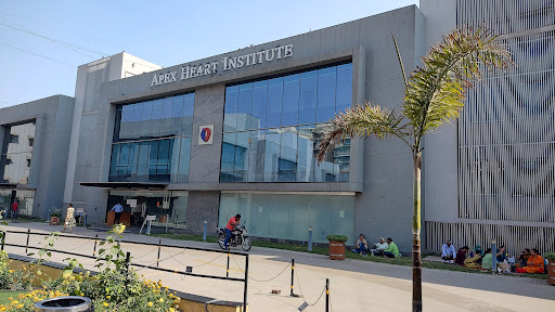 Apex Heart Institute